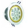 Ceiling Recessed light LED Energy Saving 12W 2-Tone - Warm White