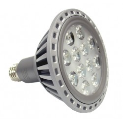 PAR38 LED 12W Energy Saving Floodlight - Warm White